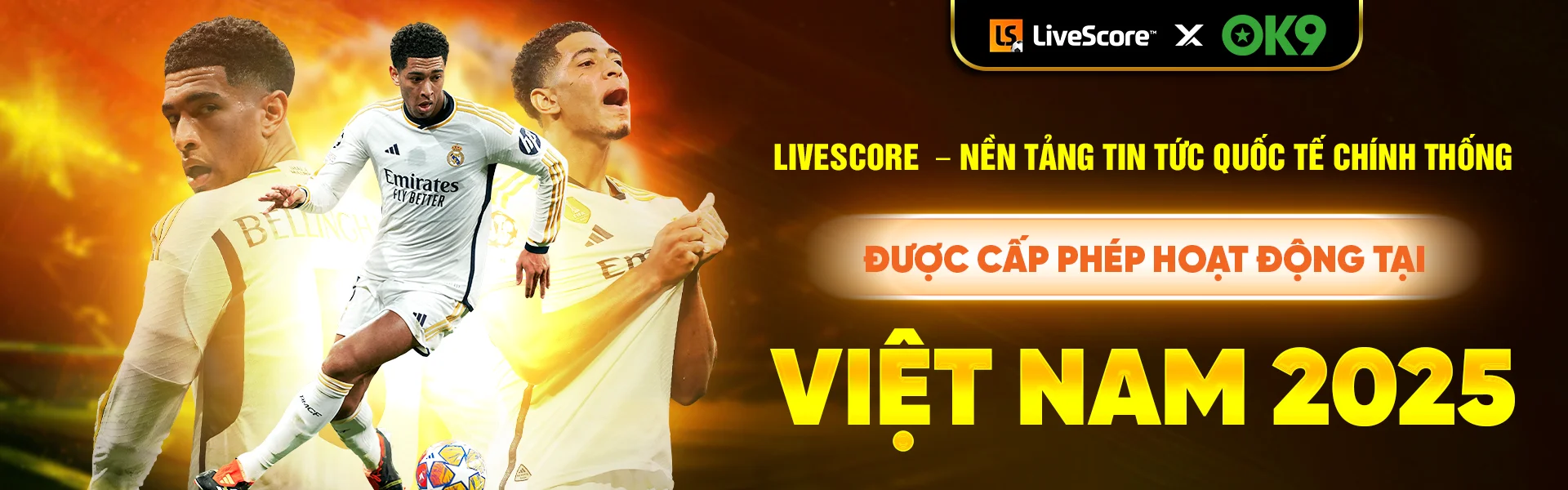 Livescore – Nền tảng tin tức quốc tế chính thống được cấp phép hoạt động tại Việt Nam 2025